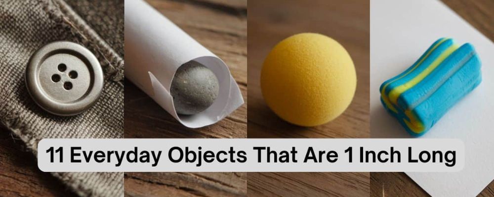 1 inch bằng bao nhiêu mm