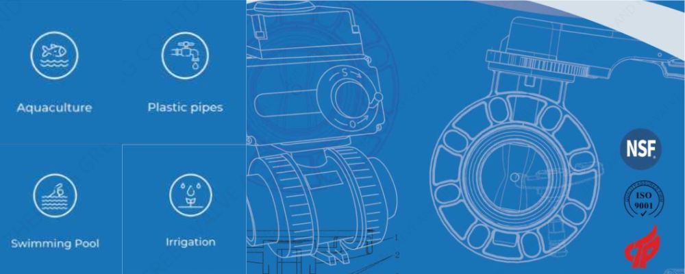 chứng nhận nsf là gì